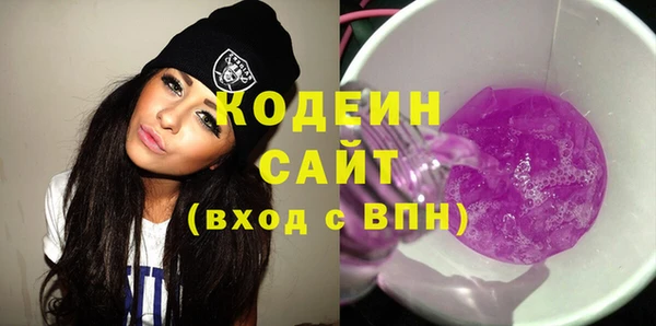 шишки Бородино