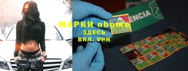 прущие грибы Беломорск