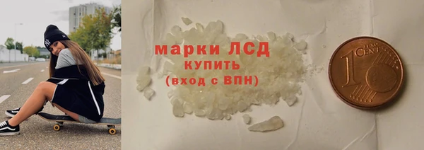 шишки Бородино