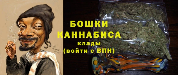 шишки Бородино