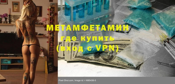 шишки Бородино