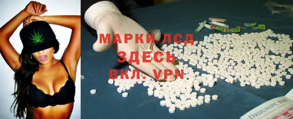 гидра Володарск
