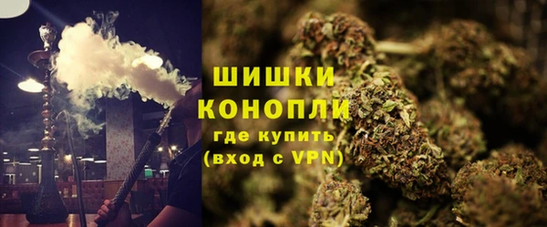 шишки Бородино