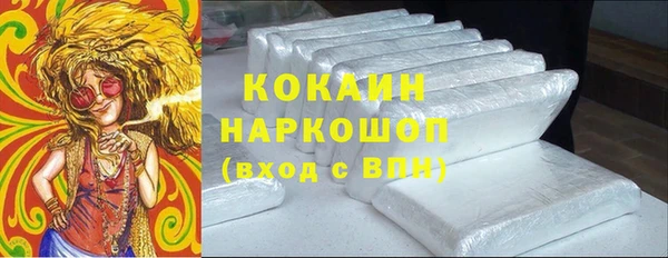 гидра Володарск