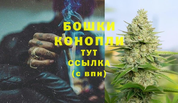 шишки Бородино