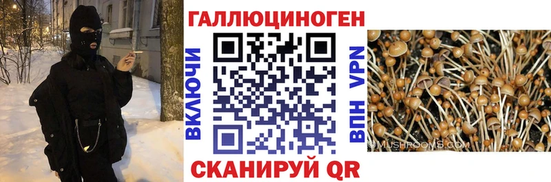 Галлюциногенные грибы ЛСД как найти закладки ОМГ ОМГ Дигора